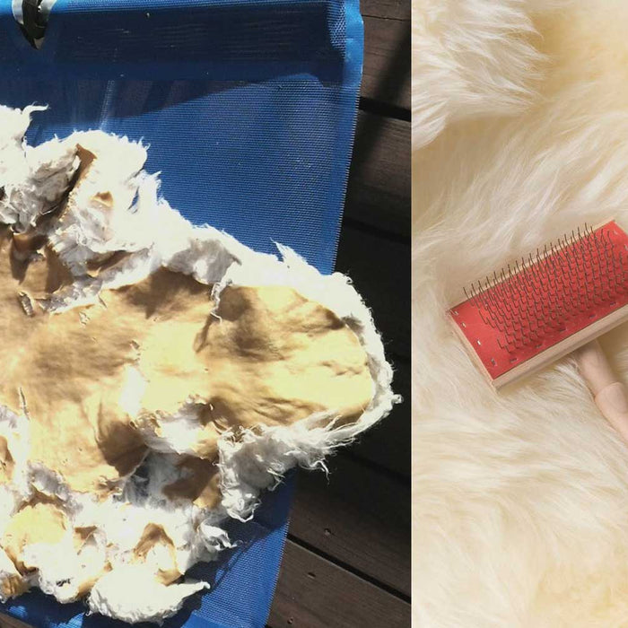 Washing a sheepskin rug by Gorgeous Creatures New Zealand